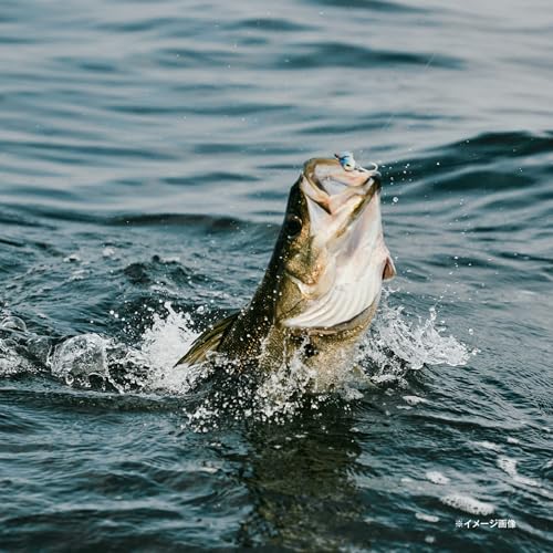 シマノ(SHIMANO) フリースタイルロッド 24 アンフィックス 各種 10枚目