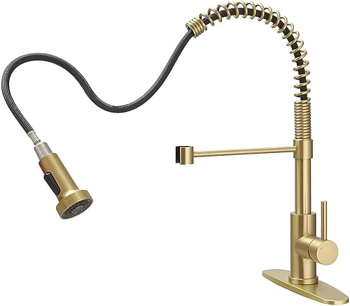 Miniatura 1 de Grifo de la cocina, Grifos de la cocina con rociador extraíble Sus304 Acero Inoxidable Industrial Sola Manija Un Agujero Grifo para Casa de Camper