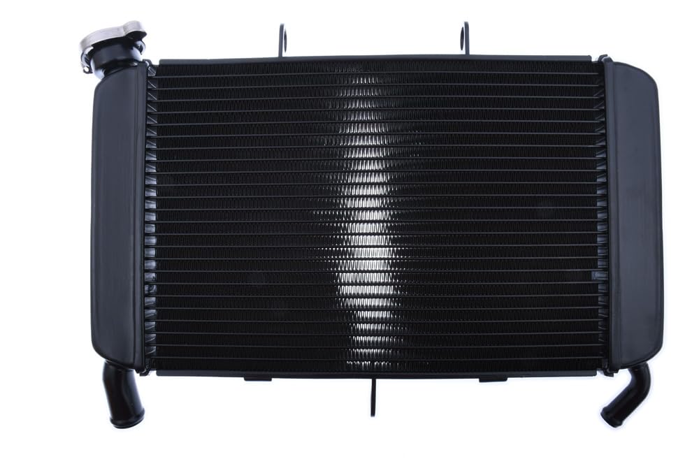 avdb-Moto Radiateur d'eau Compatible avec Yamaha XJ6 600 XJ-6 N 2009-2017, XJ-6 600 XJ6 Diversion 2009-2017