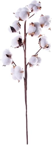 Tallos de algodón natural, ramo de tallo natural, decoración floral estilo granja, para decoración del hogar