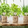 Indoor Herb Garden Starter Kit - Coolest Gifts for Women - Birthday Gifts for Her - House Warming Gift New Home for Plant Lovers - Womens, Wife, Mom Gifts - House Plants- Gardening Herbs Plants Live #3