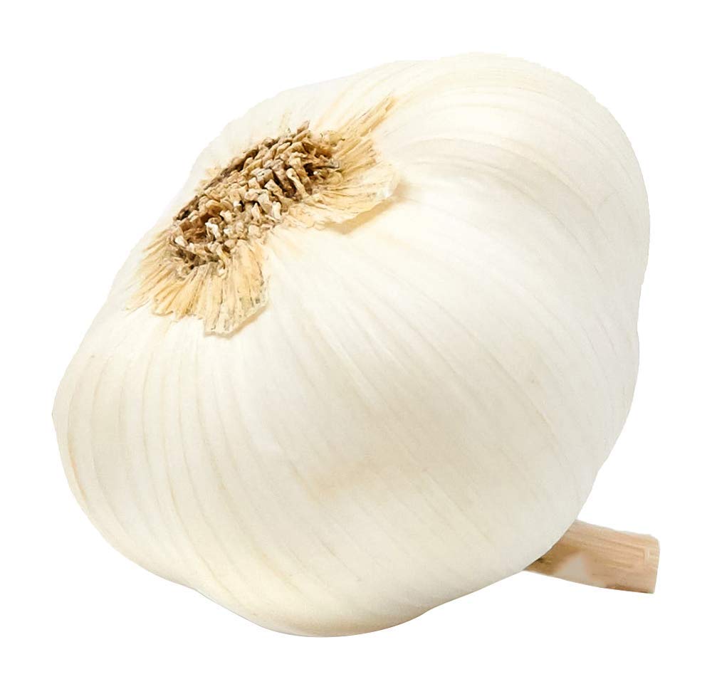 Organic Garlic
