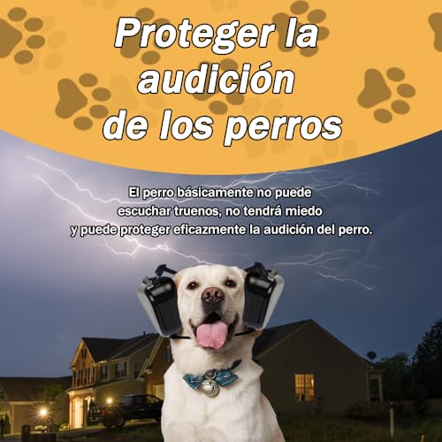 Bocinas, Sports Imagen adicional