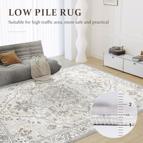 Deerly Vintage Area Rug 5x7 Boho Washable Large Living Room Bedroom Rugs Non Slip Low Pile 5x7 Rug for Kitchen Entryway Bedroom Dining Room Office, Beige/Multi