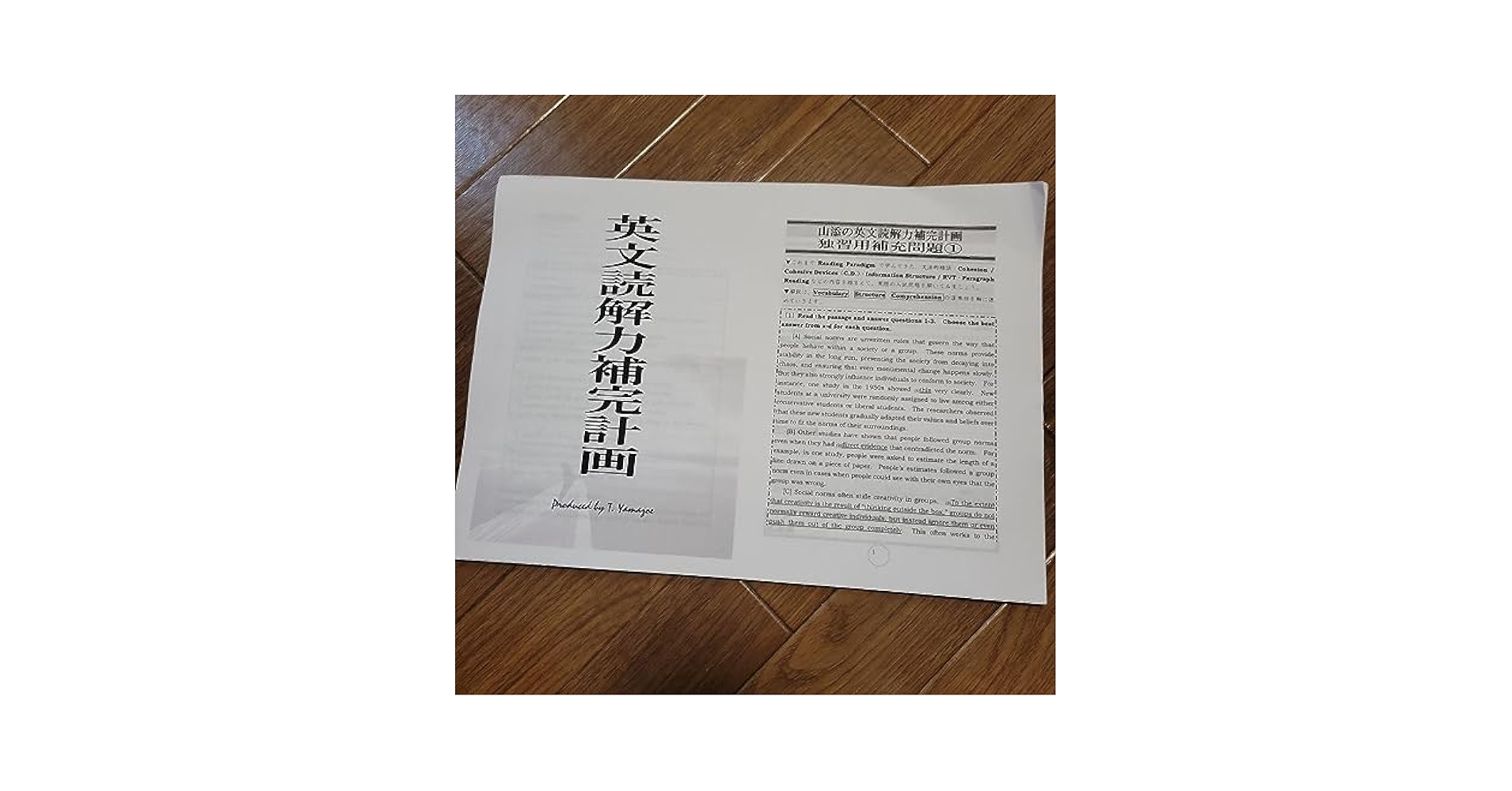山添の英文読解力補完計画【河合塾 オリジナル非売品✨夏期問題