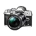 Olympus OMD-EM-10-Mark-IV Mirrorless Digital Camera with Lens 14-150mm f4.0-5.6-II Silver (E-M10M4_14152 Silver)