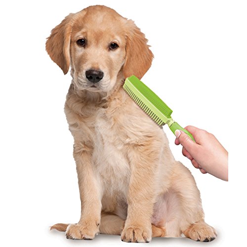 Evriholder FURemover Duo, 2-Sided Lint Brush, Dog Multi-Brush, Lint Brush for Couch and Clothes, Rubber-Like Lint Brush is Dual-Sided for Pet Grooming and Lint/Hair Removal, Colors May Vary