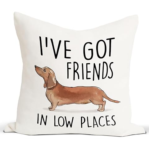 Rusenbao Funny Dachshund Dog Throw Pillow Covers 18×18, Dachshund Wiener Dog Gifts for Women, I've Got Friends in Low Places, Sausage Dog Bed Decorative Pillows Covers, Decor for Couch Home Cover