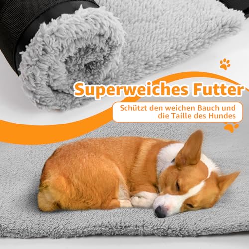 Verstellbare Hunde-Tragehilfe, Tragbarer Tragegurt zur Rehabilitation für behinderte, verletzte oder ältere Hunde - Hundegeschirr als Gehhilfe für kleine und große Hunde