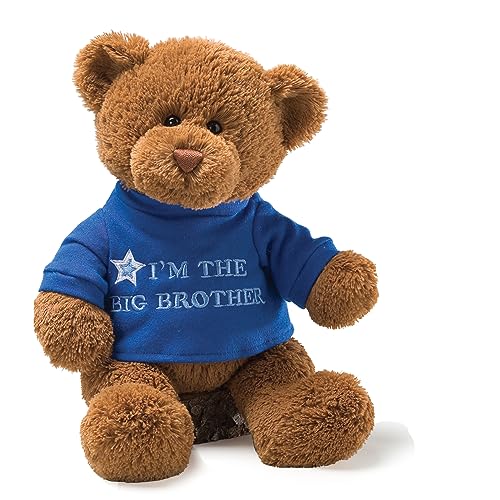 GUND “I’m The Big Brother” Message Bear with Blue...