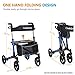 OasisSpace Rollator Walker, Medical Rollator Walker with Seat, Foldable and Height Adjustable Rolling Walker with Storage Bag for Senior, 300lbs(Blue)