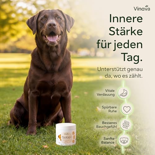 FloraCare+ Probiotika Hund – Darmkur bei Durchfall, Blähungen & Sodbrennen | Darmflora aufbauen & Magen-Darm stärken | Präbiotika + Probiotika für Hunde | Magenschutz & Darmwohl | 60 Stück
