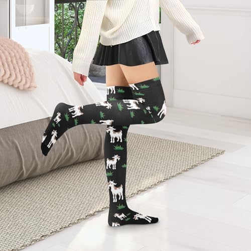 Image of Women's Thigh High Socks Long Over Knee Socks Thick Leg Warm Boot Stockings