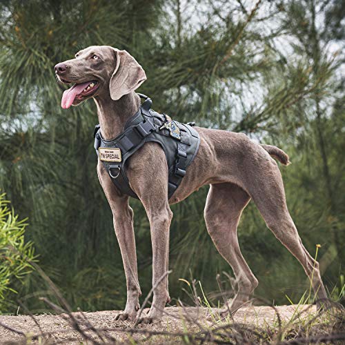 Onetigris TG-GBX03 Tactical Dog Harness Vest,No-Pull Service Dog Vest thumb #5