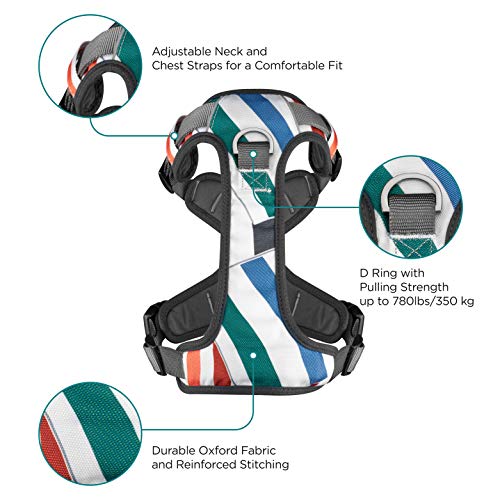 Embark Urban Dog Harness, Easy On and Off with Front and Back Leash Attachments & Control Handle - No Pull Training, Size Adjustable and Non Choke (Small, Multi)