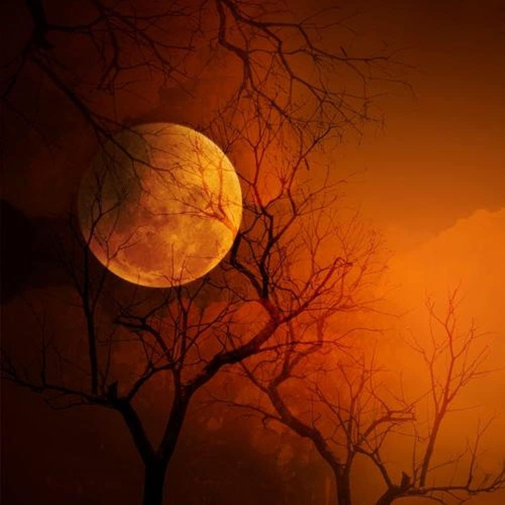 Vampire Blood Fragrance Oil (Our Version of The Brand Name) (32 oz Bottle) for Candle Making, Soap Making, Tart Making, Room Sprays, Lotions, Car Fresheners, Slime, Bath Bombs, Warmers……