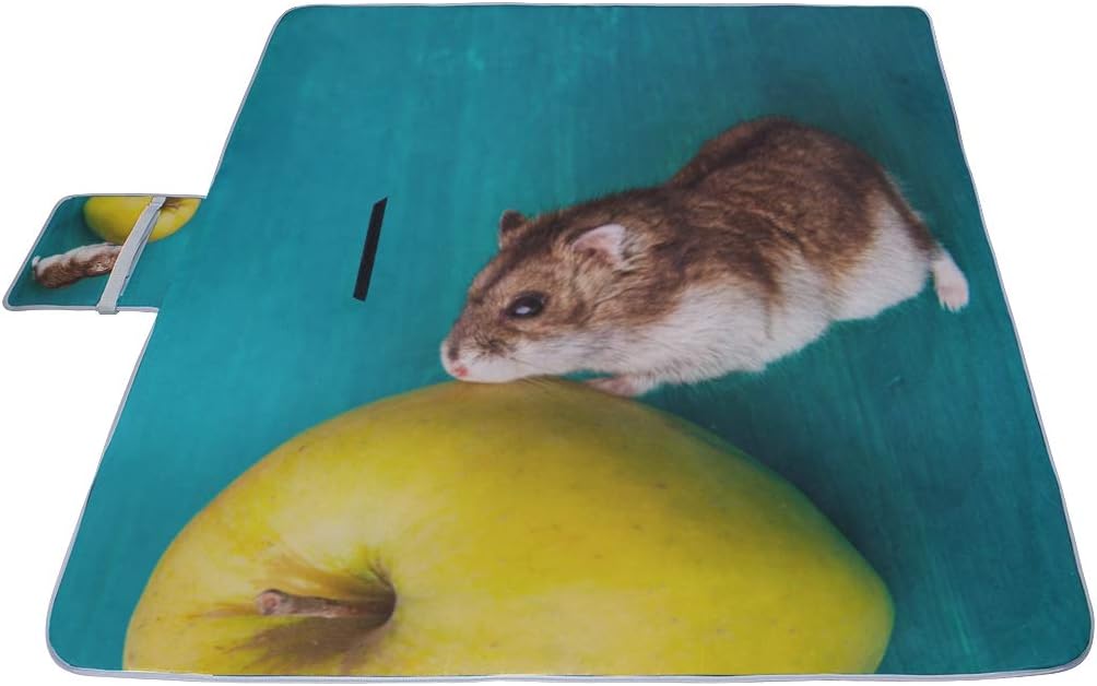 レジャーシート すばしこい ハムスター ピクニック 折りたたみ 撥水 アウトドア クッション マット コンパクト 花見 運動会 キャ