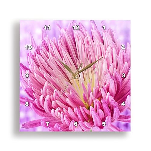 3dRose DPP_280335_2 Macro Design of Flower Blooms Blossom Gardening Wall Clock, 13 x 13