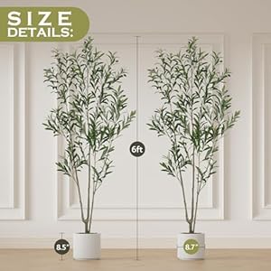 ROOMTEC 2 Pack Artificial Olive Tree 6ft Faux Olive Tree with White Planter and Fake Moss Olive Trees Artificial Indoor Potted Plants Artificial Decor Realistic Trunk and Leaves for Home 2 6 FT