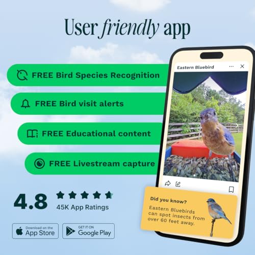 Bird Buddy Solar Smart Bird Feeder with Camera - AI Bird Species Identification, 5MP Photos, 2K HD Video Live Stream Camera, Solar-Powered Charging, 2.8in Focus - Blue
