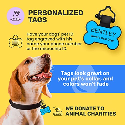 SiliDog Silicone Dog Tag