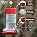 Nature's Way Hanging Glass Hummingbird Feeder for Outdoor Décor, 13 Ounce Capacity Nectar Feeder, Ant Moat, 4 Easy to Clean Flexible Ports, Red