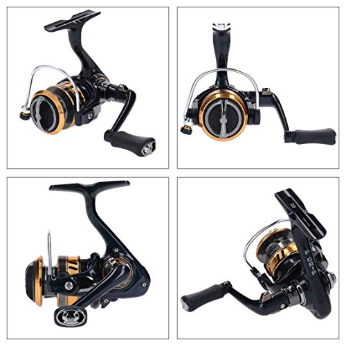 ダイワ(DAIWA) 穴釣り・波止釣りロッド MC 750M 釣り竿 6枚目