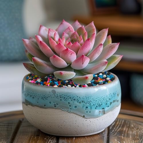 Image of 0.88 LB Colored & Black Pea Gravel,Succulent Cactus Topper Dressing Pebbles | Colorful Pearlized Stones,Bonsai Soil Cover,Terrarium Fairy Garden Landscape,Vase Fillers,Fish Bowl,Home Decor,3-6mm