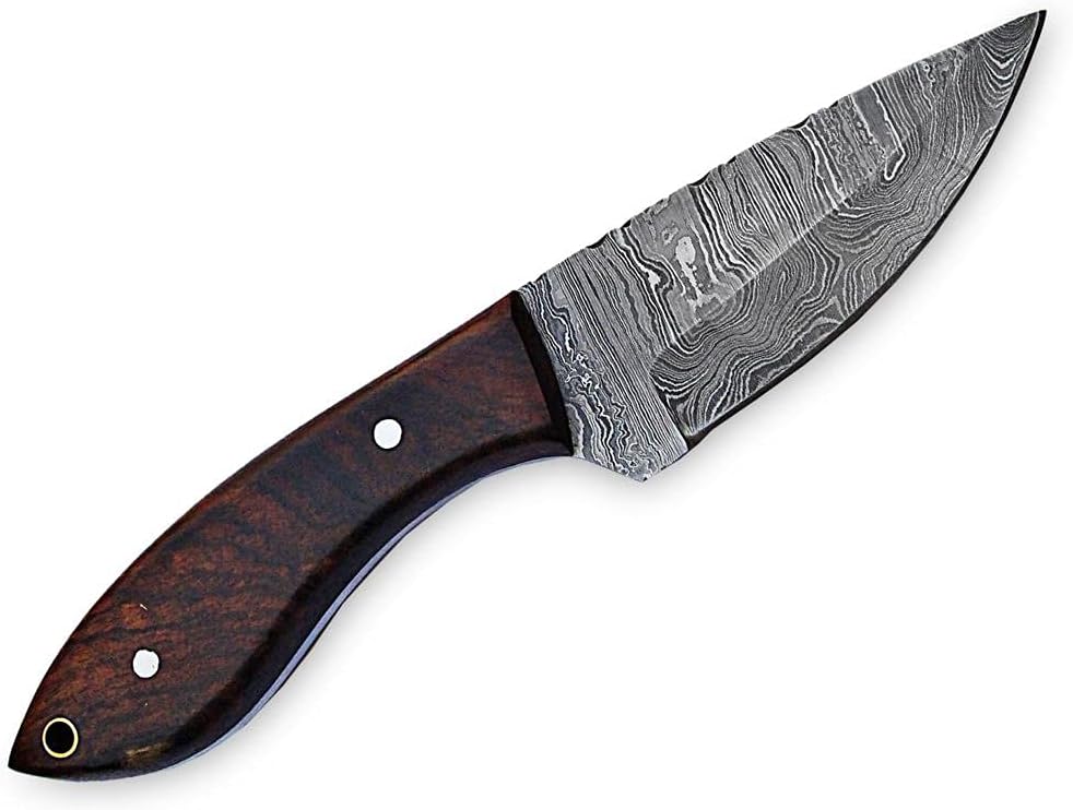 MMA 8inch Custom Handmade Damascus blade knife/Fixed blade knife with sheath/Fixed Blade Knives/Skinning Knives/Hunting Knives/EDC Knives (Brown) : Everything Else