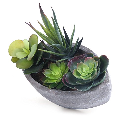 T4U grigio pentola artificiale a forma di barca