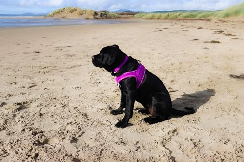 Harnais pour chien imperméable et léger ajustable pour l'extérieur - 8