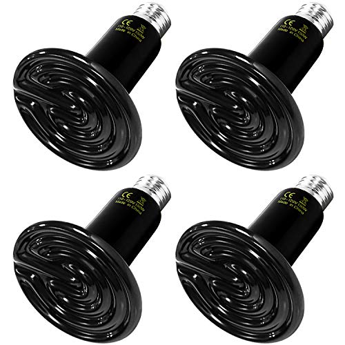 10 Best Chicken Coop Heaters of 2022