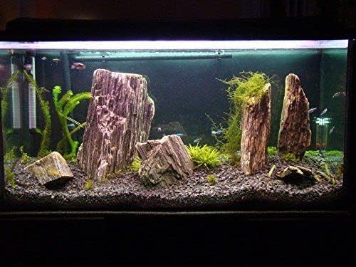 Sabbia Per Acquari Amtra Quarzo Ceramizzato Nero - Grana 2-3mm, 10KG Per Acqua Dolce/Salata - Foto 4