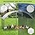 Garvee Metal Large Chicken Coop, Chicken Run for Yard with Strengthen Support, Outdoor Poultry Cage with Waterproof and Anti-Ultraviolet Cover for Outdoor Farm Use(9.8 ft W x 6.5 ft L x 6.5 ft H