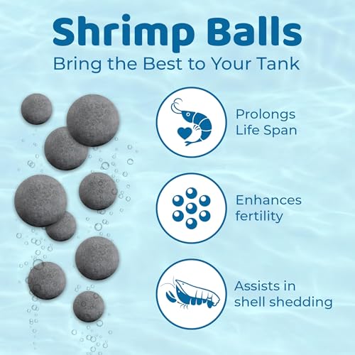 Image of SunGrow Shrimp Balls, Aquarium Water Conditioner Balls, Successful Shedding, Increase Survival Rate, Impart Vibrance, Cool Decor with Wellness Benefits