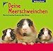 Buch-Cover