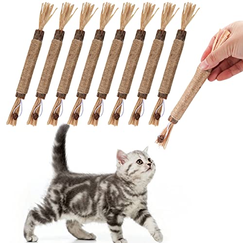 XiangJunly 8 Pcs Natural Matatabi Silvervine Chew Sticks, Cat Chew Sticks Toys, Cat Teeth Nip Cleaning Chew Catnip Toys Sticks for Indoor Cats Kitten Teething Teeth Cleaning Chew Sticks