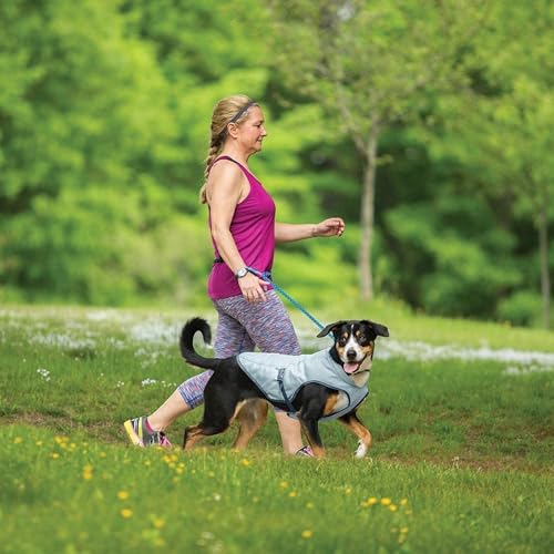 Kurgo Core Cooling – Kühlweste für Hunde, Haustier-Kühlmantel mit reflektierendem Material – L