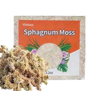 Yilotuce sphaigne sèche en brique de 90 g, 15 x 15 x 5 cm