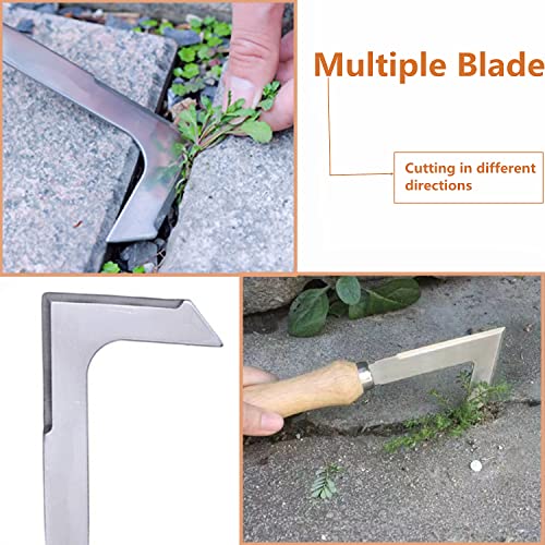 Goldhik Crack Weeder, 8.7" Stainless Steel Crevice Weeding Sickle Manual Weeder Lawn Yard Garden Sidewalk Tool #TOP3