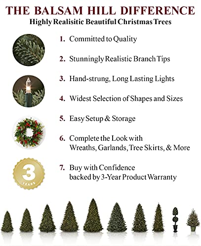 Balsam Hill BLU-T-2144 6.5Ft Unlit Classic Blue Spruce Artificial Christmas Tree thumb #7