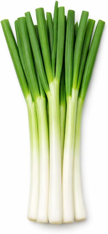 Scallion Bunching Onion Seeds, 250+ Evergreen Hardy White, Heirloom, Non-GMO, Allium fistulosum