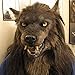 MeiLiu Máscara de Lobo, máscara de Cabeza de Animal de látex, Accesorios de decoración de Disfraces de Halloween, Gorros de Lobo Realista para Adultos para Fiesta de Halloween