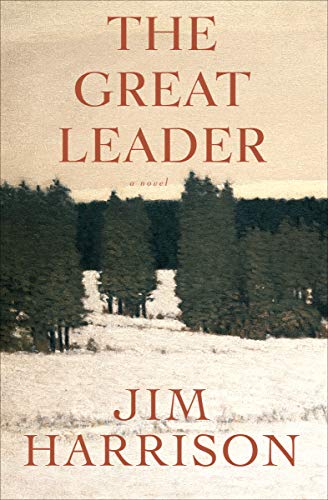 Cover of The Great Leader: A Novel
