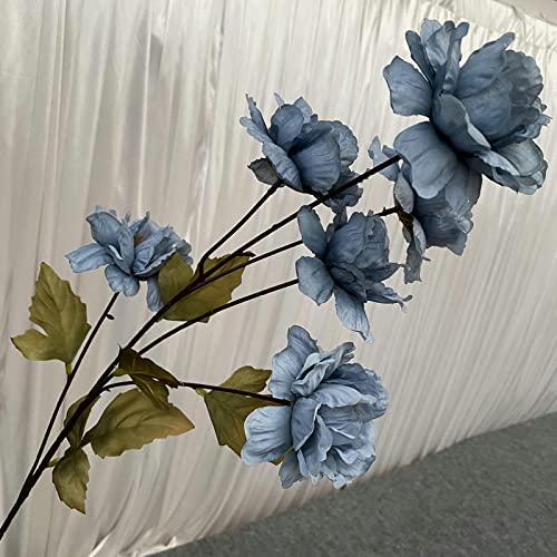 Flores de Peonía Blanca, Flores Secas Decorativas miniatura 4