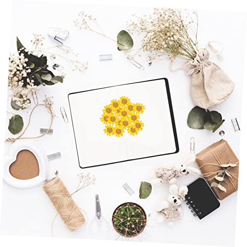 Flores secas para manualidades DIY set de 96 piezas miniatura 2