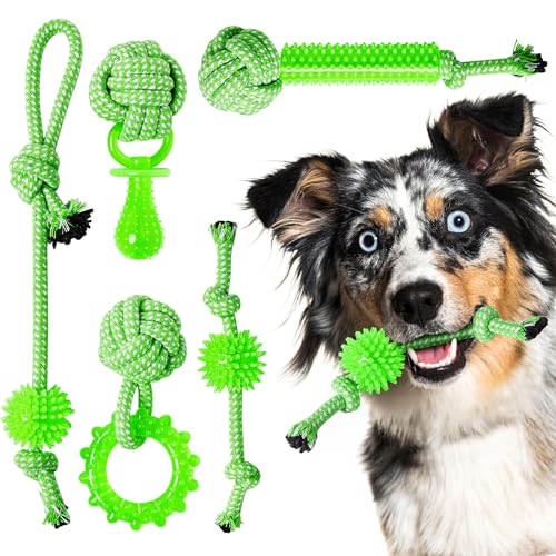 SQBG Puppy Toys 5 Pack for Energetic Puppy,Durable Puppy Chew ...