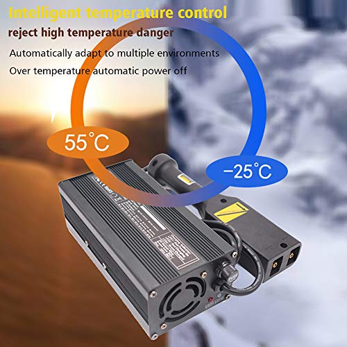 Zvivi 48 Volt 6 Amp Caricabatteria per Auto Club