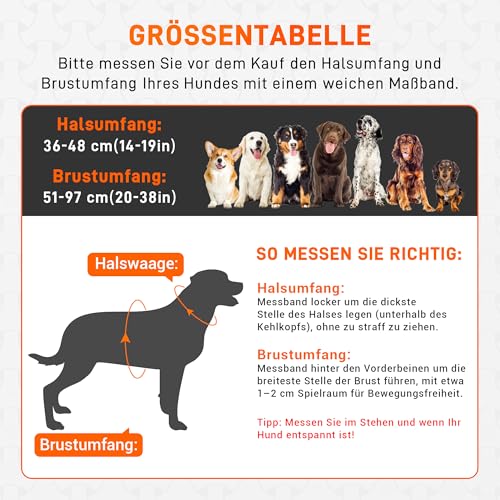 HENMI Hundegeschirr Leuchtend mit Hundeleine, Air-Mesh Leuchtgeschirr für Mittlere Hund, LED Aufladbar Reflektierend Geschirr Set für nächtliche Spaziergänge