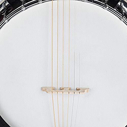 Banjo de 6 cordas de liga de madeira Sapelli Notopleura profissional requintado de